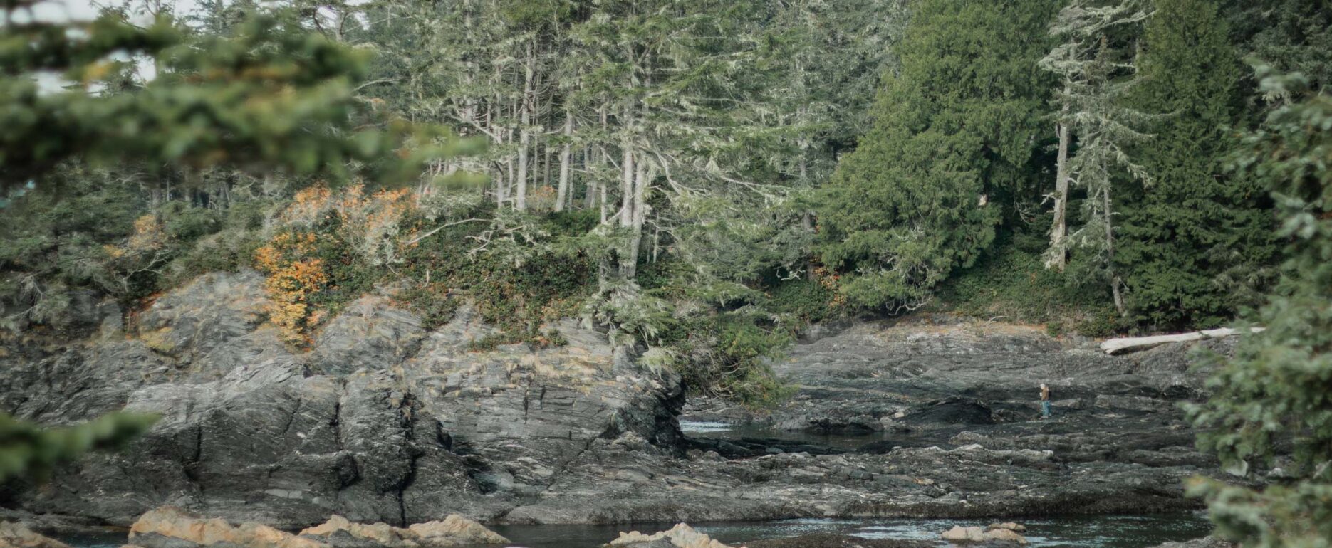 Juan De Fuca West Vancouver Island