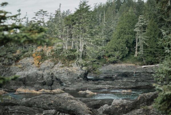 Juan De Fuca West Vancouver Island