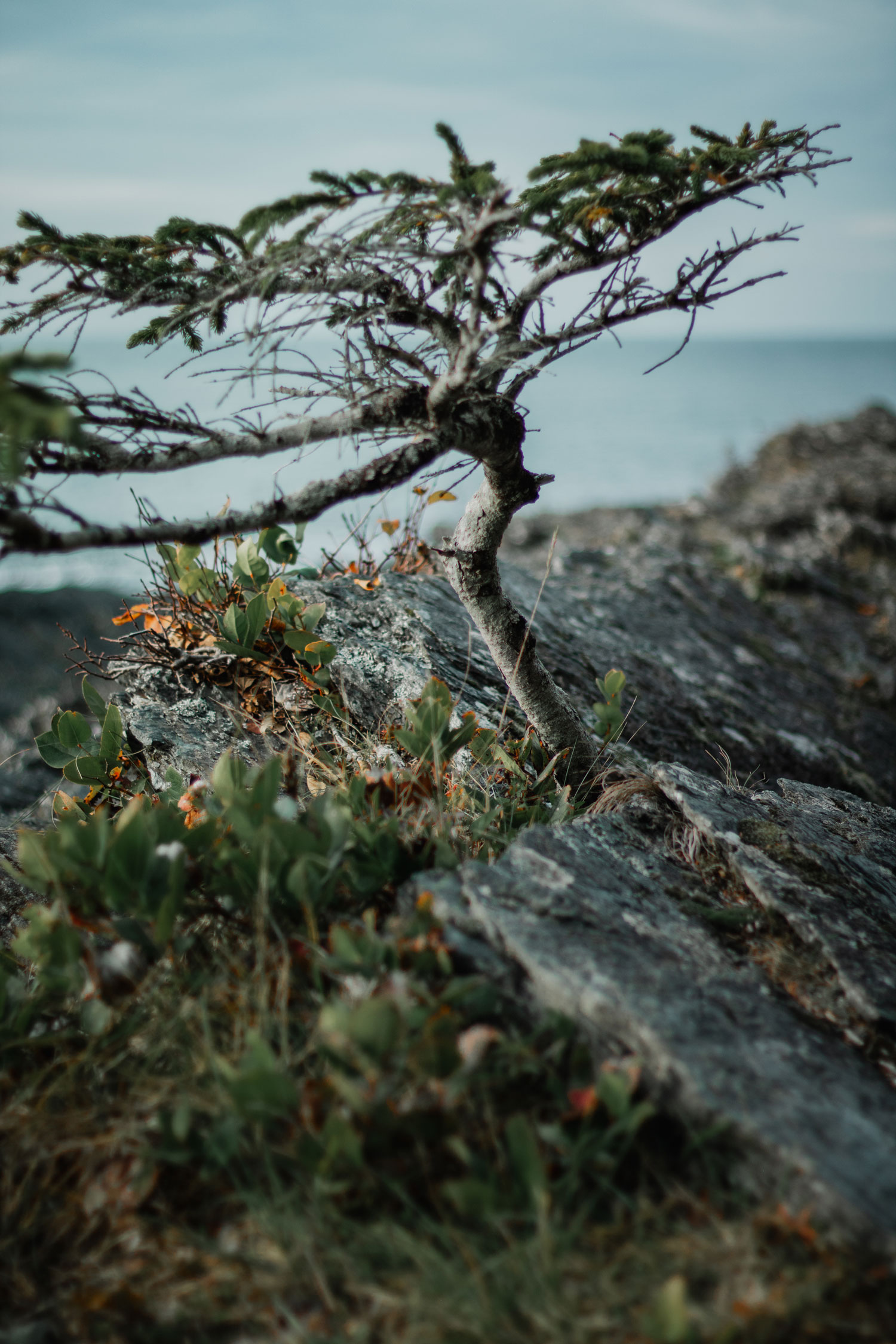 West Coast Vancouver Island Juan De Fuca Trail