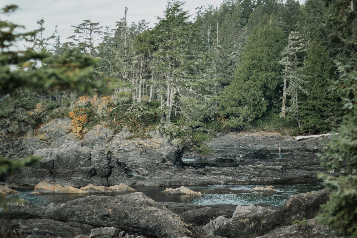 West Coast Vancouver Island Juan De Fuca Trail