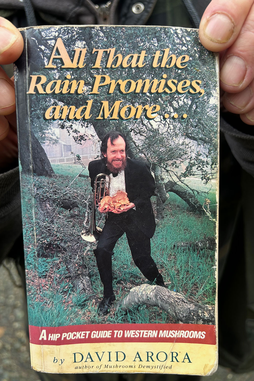 Book by David Arora, ALl that the rain promises and more