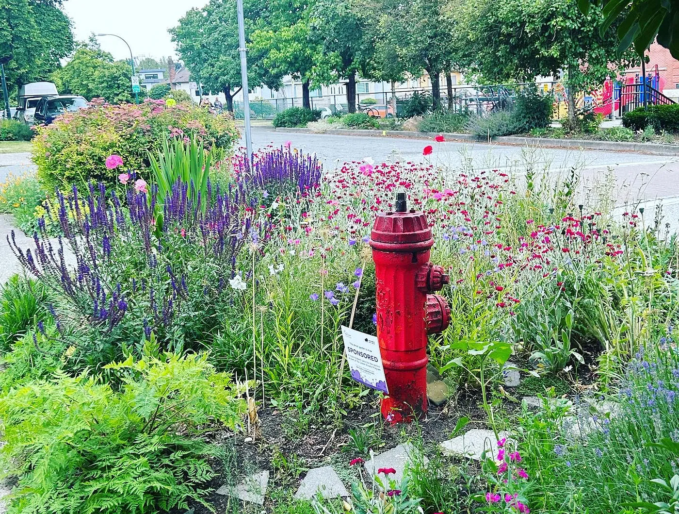 vancouver street gardens