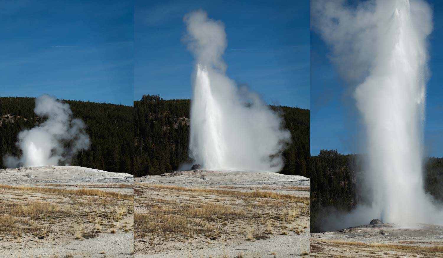 Yellowstone National Park Old Faithful Geyser Erupting