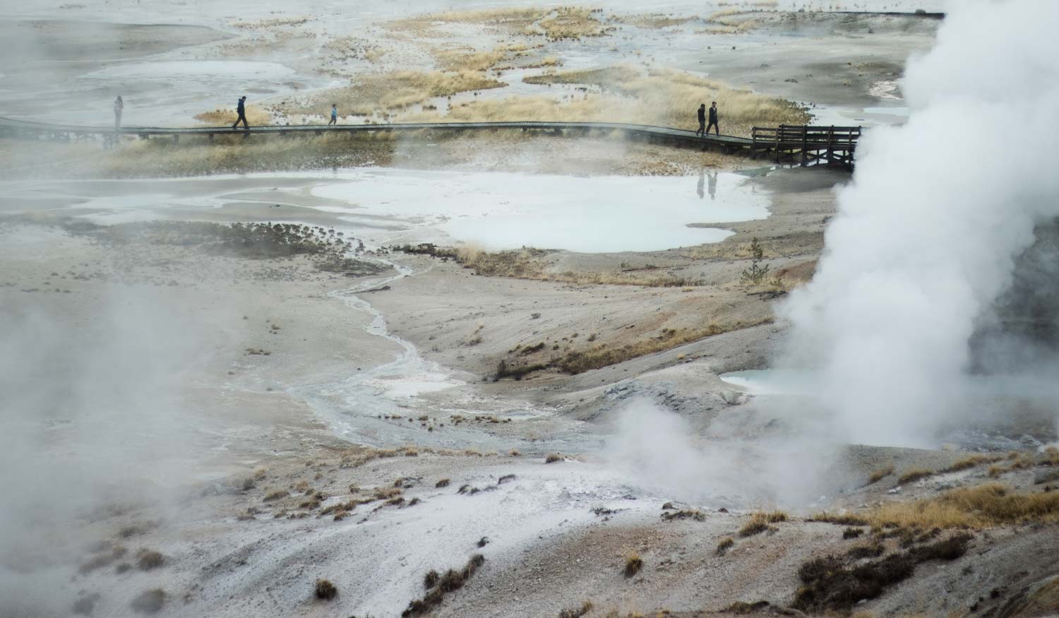 Yellowstone National Park Norris Geyser Basin