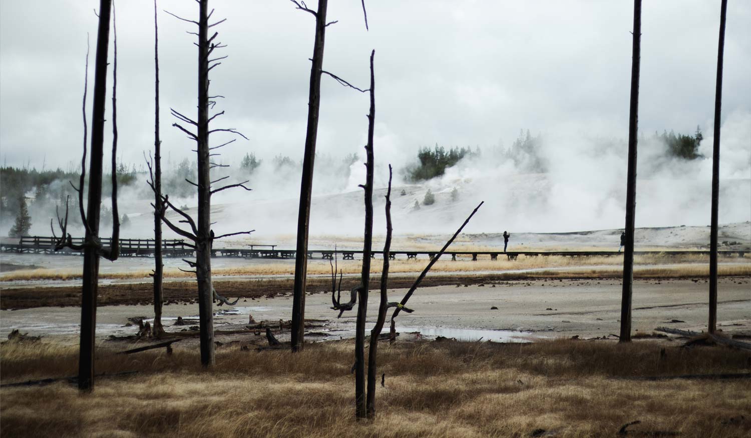 Yellowstone National Park Norris Geyser Basin