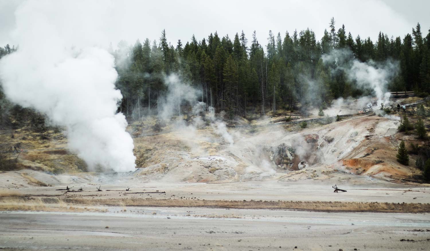 Yellowstone National Park Norris Geyser Basin