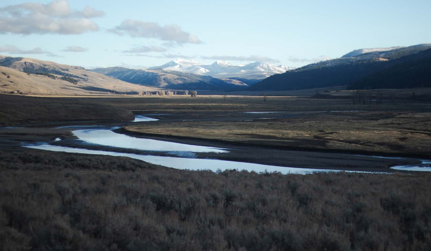 yellowstone national park lamar valley plains
