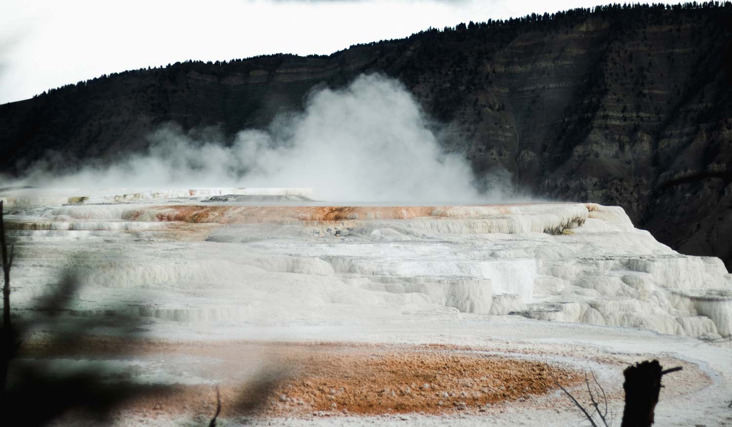 Yellowstone National Park Mammoth Hot Springs