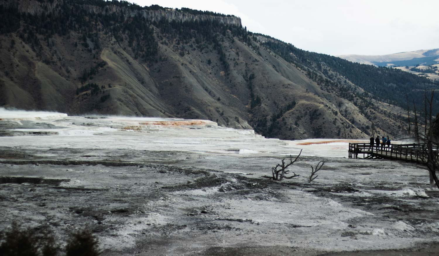 Yellowstone National Park Mammoth Hot Springs